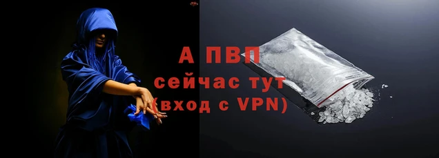 крисы Алексин