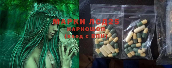 крисы Алексин