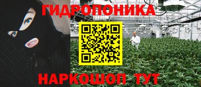 амф Кулебаки