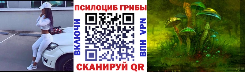 цена   Ефремов  Псилоцибиновые грибы Psilocybe 
