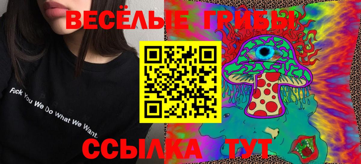 Галлюциногенные грибы Cubensis Ефремов